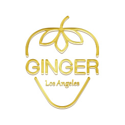 Логотип бренда одежды - Ginger
